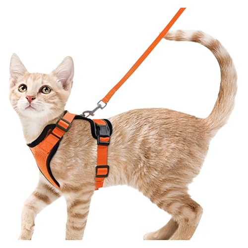 ハーネス 猫ハーネス」の人気商品一覧 | 安い商品を通販サイトから探す